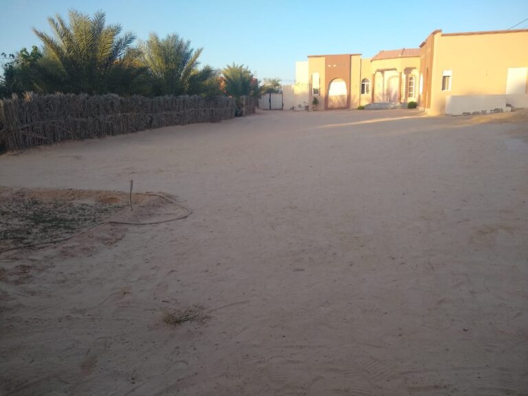 WhatsApp Image 2025-11-02 at 10.42