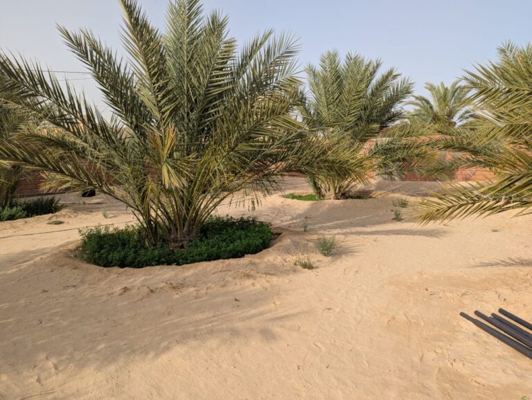 WhatsApp Image 2025-11-02 at 10.42