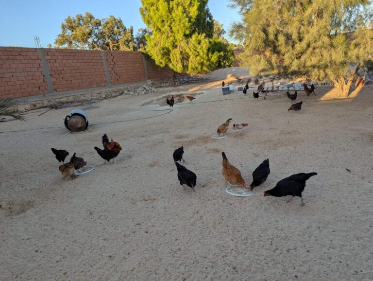 WhatsApp Image 2025-11-02 at 10.42